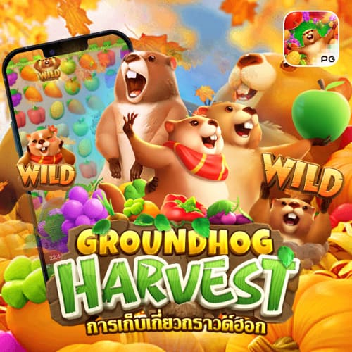 pgslotcandy Groundhog Harvest